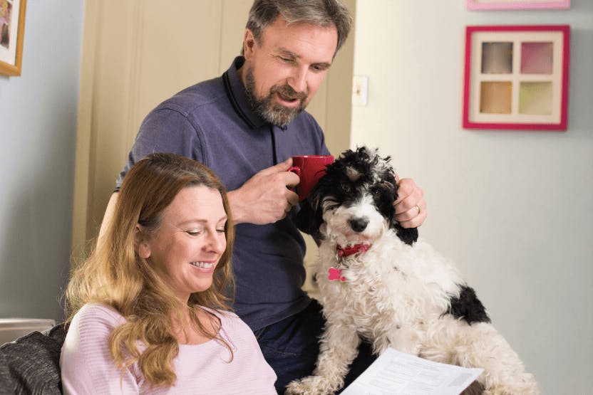 Pet Insurance Case Studies